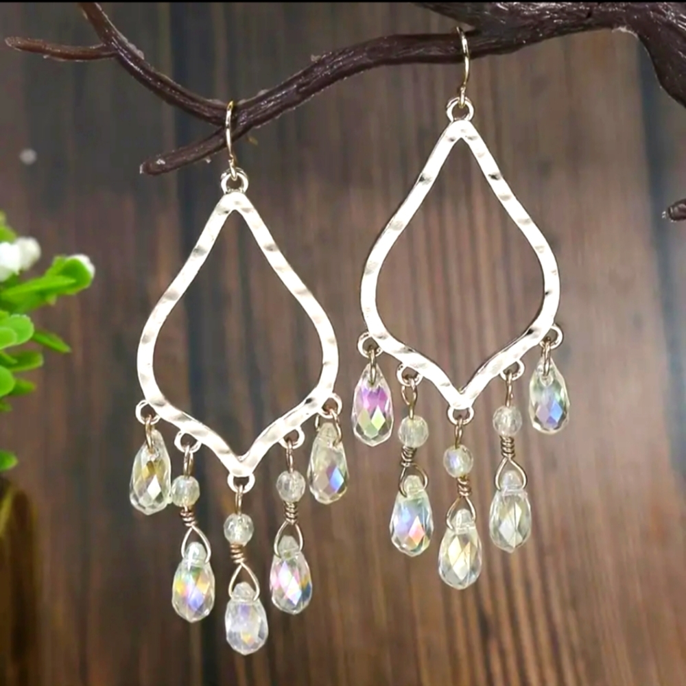 Sparkling earrings NWT